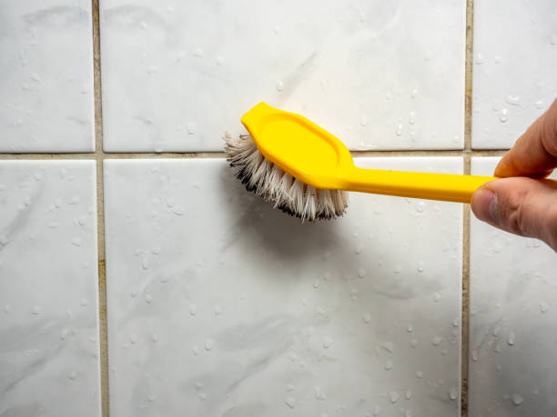 Manvel, TX Mold Removal Company