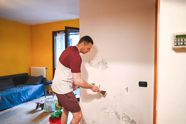 Best Emergency Mold Removal  in Manvel, TX